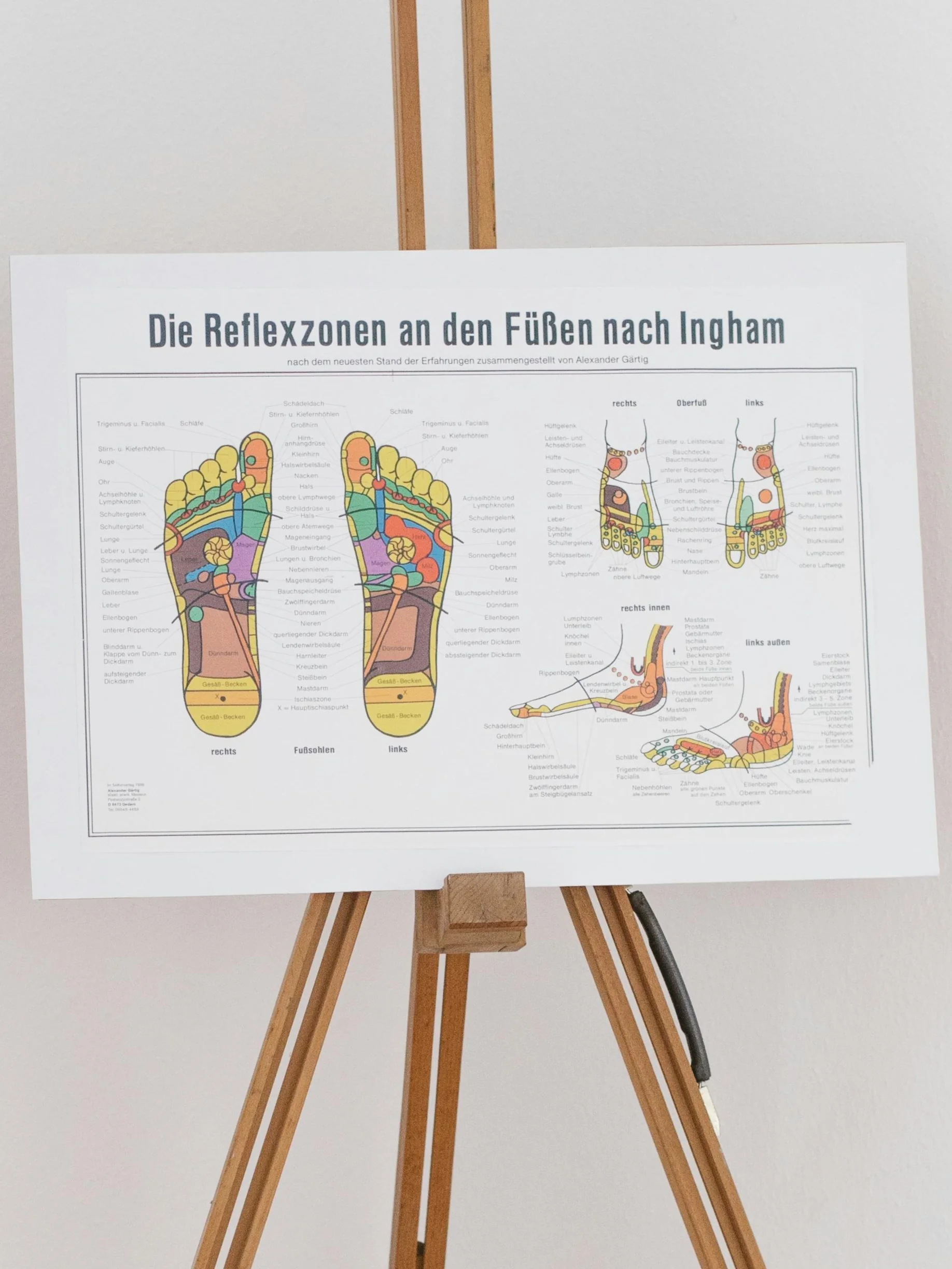 Una mappa del piede per la riflessologia su un supporto di legno che mostra le zone riflesse
