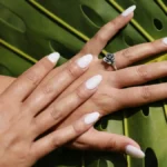 Foto in studio di unghie acriliche color nude appena fatte, forma a mandorla, su uno sfondo di foglie di palma