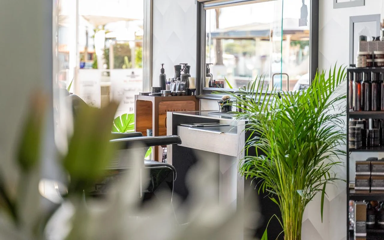 La postazione styling di un salone intravista oltre piante verdi frondose, con prodotti per la cura disposti su un bancone e mensole in legno e la luce del giorno intensa che entra dalla finestra sul retro.